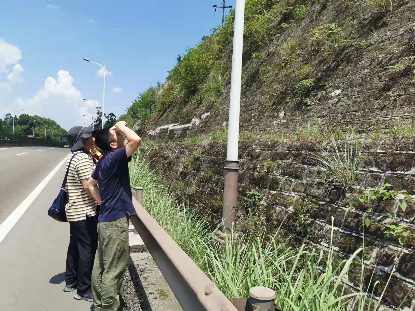公司養護工程部邀請專家勘察成渝高速公路病害邊坡