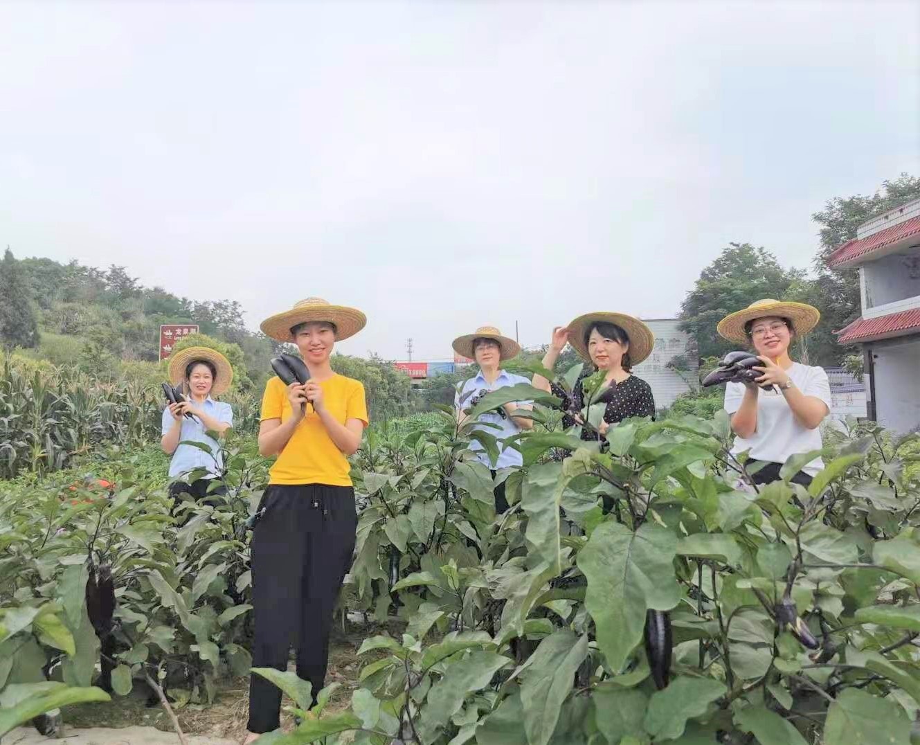 我為群眾辦實(shí)事——“職工菜園”喜獲豐收
