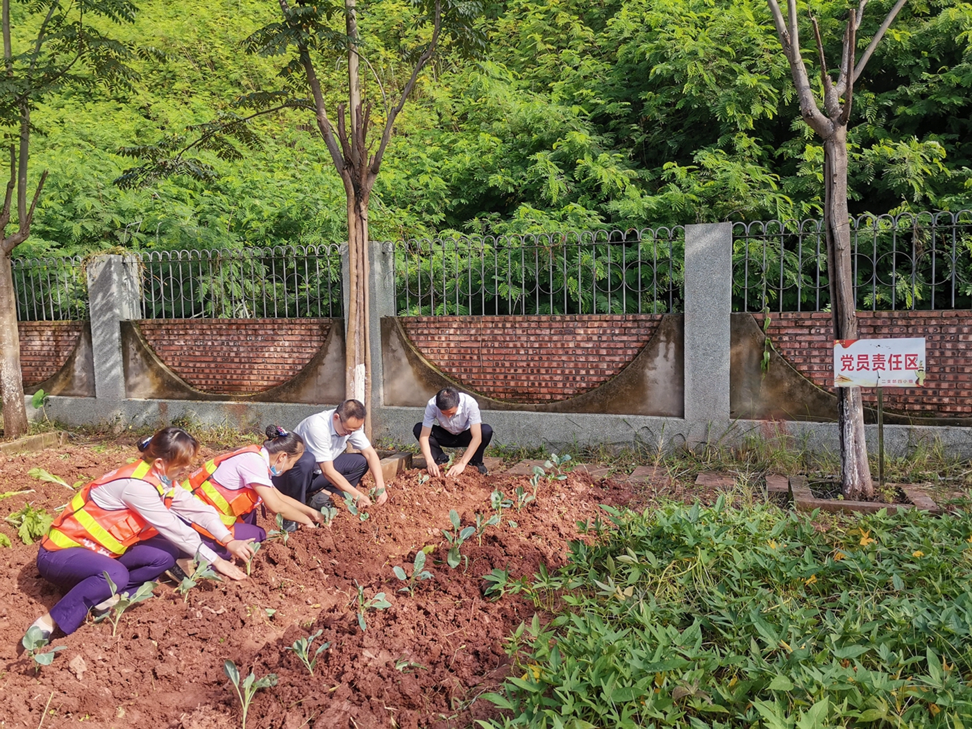 資陽管理處加強職工菜園建設
