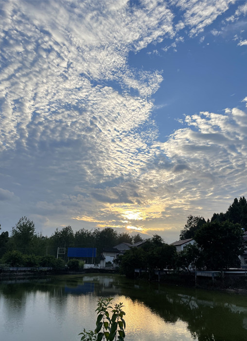 644、夕陽無限好，只是近黃昏+四川成渝高速公路股份有限公司成渝分公司資陽管理處+陳曉柯_副本