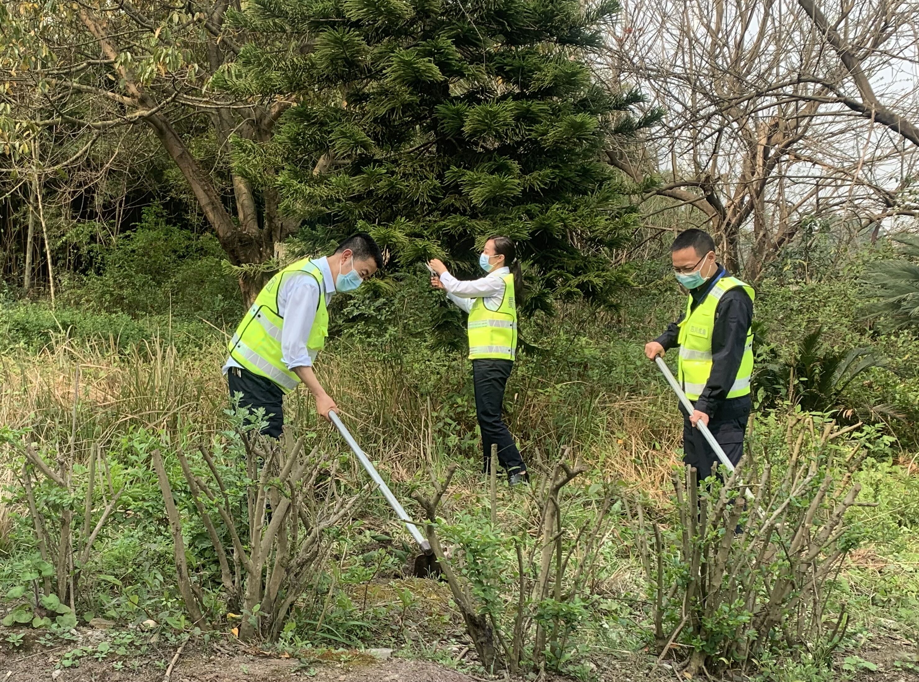 三月春來早 植樹正當時——成渝高速漁箭收費站開展綠化植樹活動