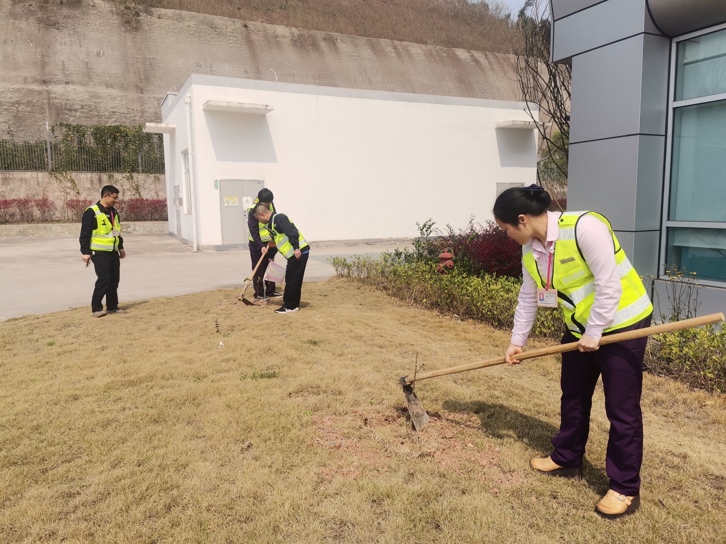 2022.3.16+成渝分公司+迎春風 植新綠——成渝高速公路簡陽收費站開展植樹活動+蒙麗琴