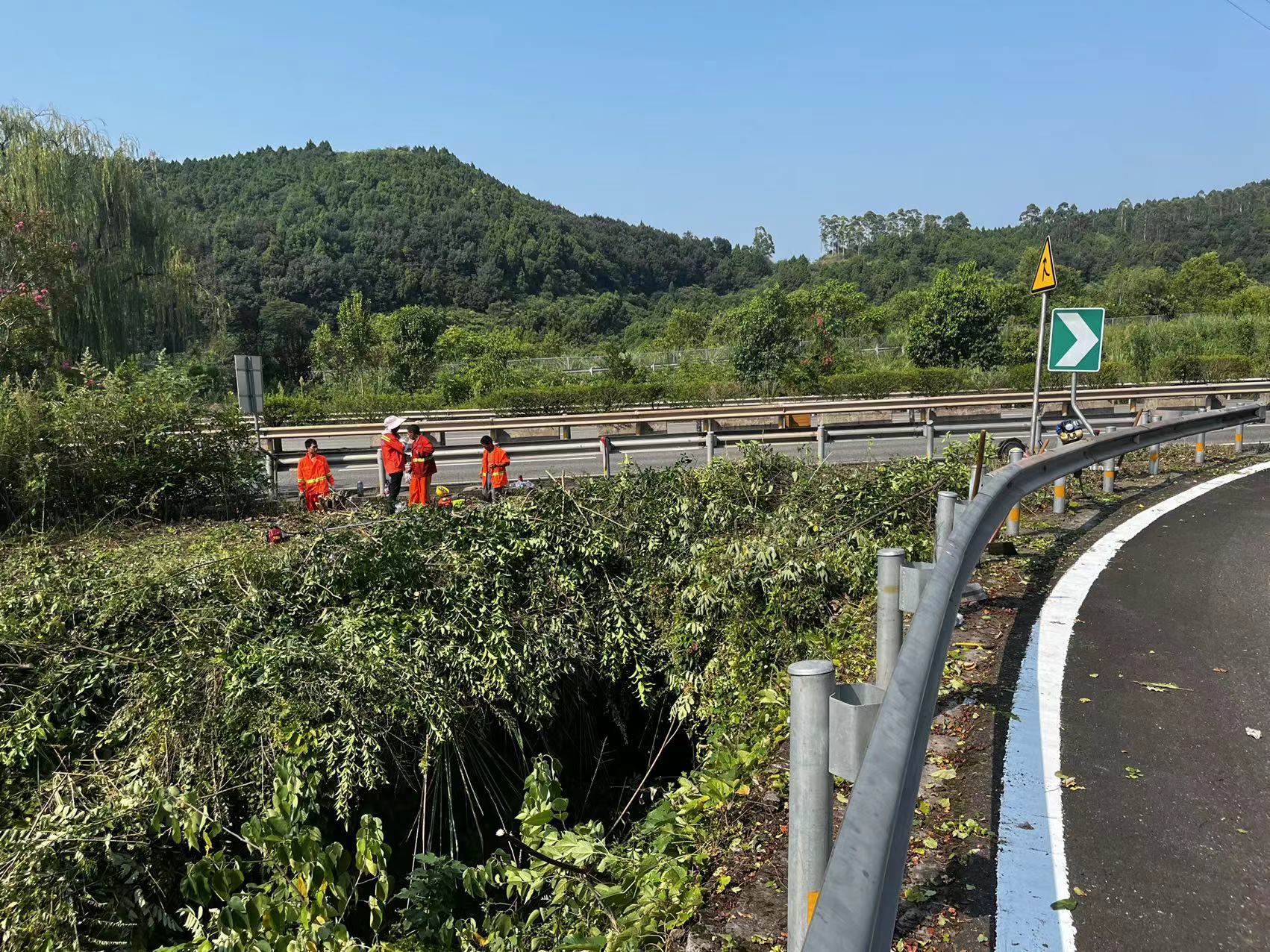 成都管理處開展路段匝道三角帶車輛匯流區域視線通透性點位調查整改工作