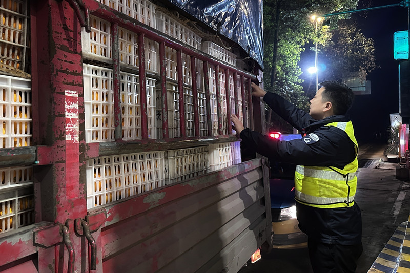 資陽管理處聯(lián)合高速公路交通執(zhí)法第一支隊四大隊開展鮮活車輛專項稽查行動