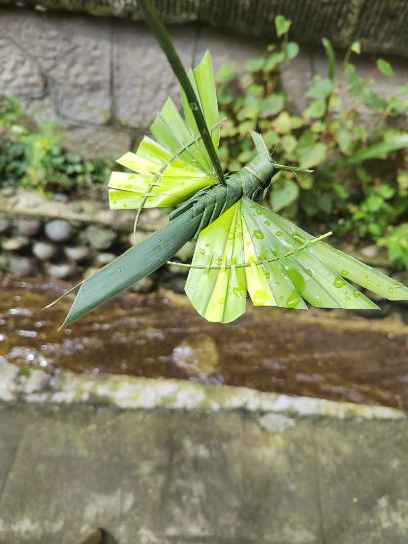 靈動+成渝分成都處+謝端炯+中國建設(shè)銀行成都新華支行