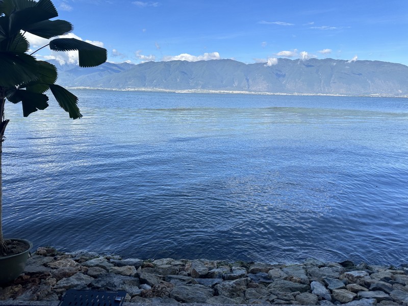 洱海+成都管理處+方媛