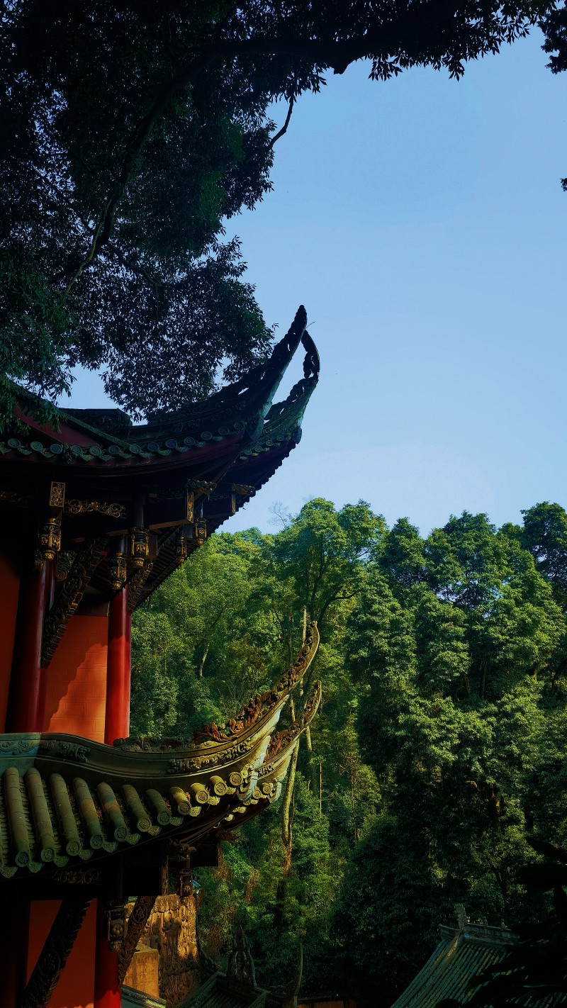 林中寺廟+王琴+成都管理處