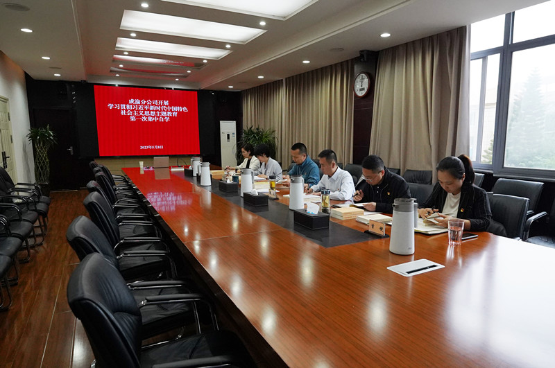 公司開展學(xué)習(xí)貫徹習(xí)近平新時代中國特色社會主義思想主題教育第一次集中自學(xué)_副本
