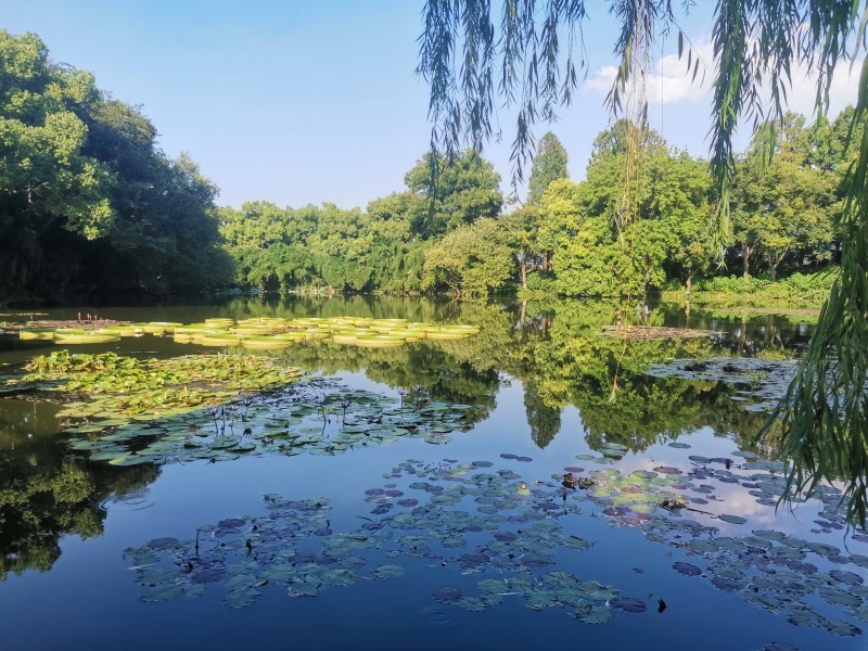 小瀛洲島+四川成渝高速公路股份有限公司成渝分公司資陽(yáng)管理處+周知