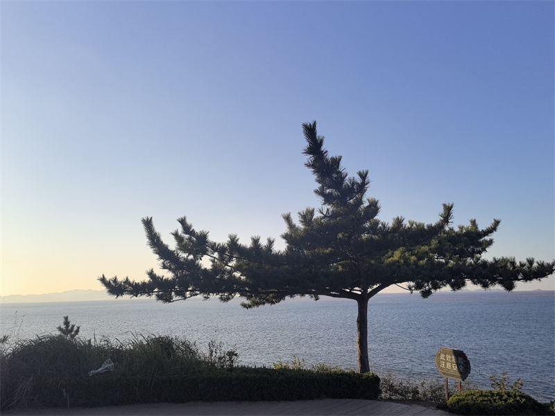 獨(dú)樹湖+成都管理處+劉城辰
