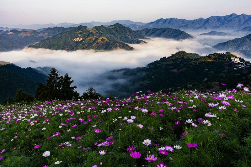 云海繁花+成都管理處+王永斌