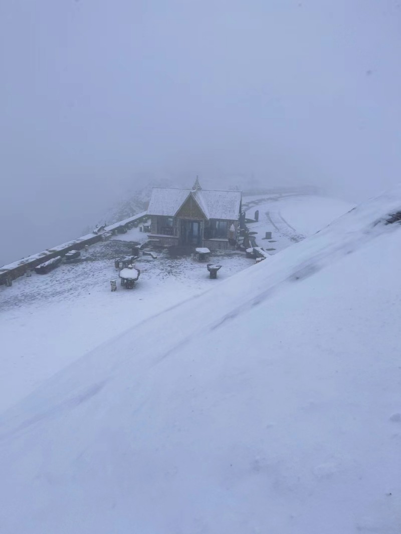 白雪皚皚+四川成渝高速公路股份有限公司成渝分公司資陽管理處+楊素華